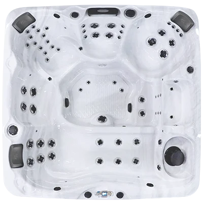 Avalon EC-867L hot tubs for sale in Pierre