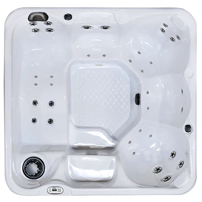 Hawaiian PZ-636L hot tubs for sale in Pierre